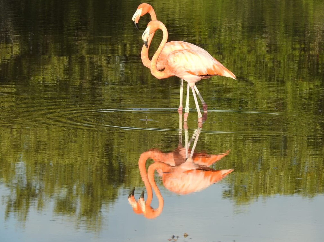 KOOKAY TOURS-巴利亚多利德必去景点
