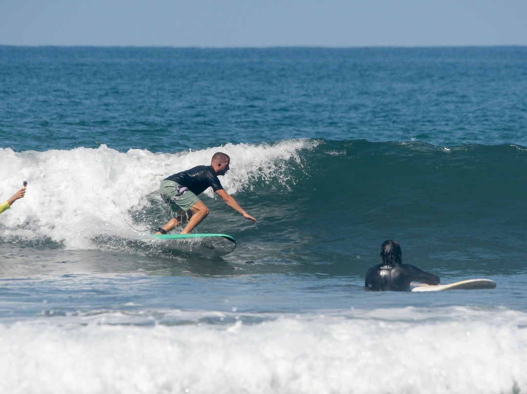 Tortuga Surf School景点图片