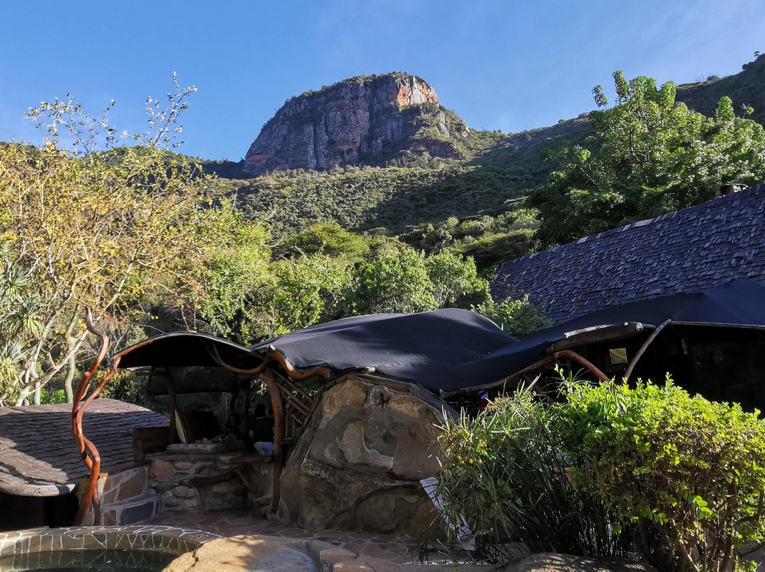 Desert Rose Kenya主图