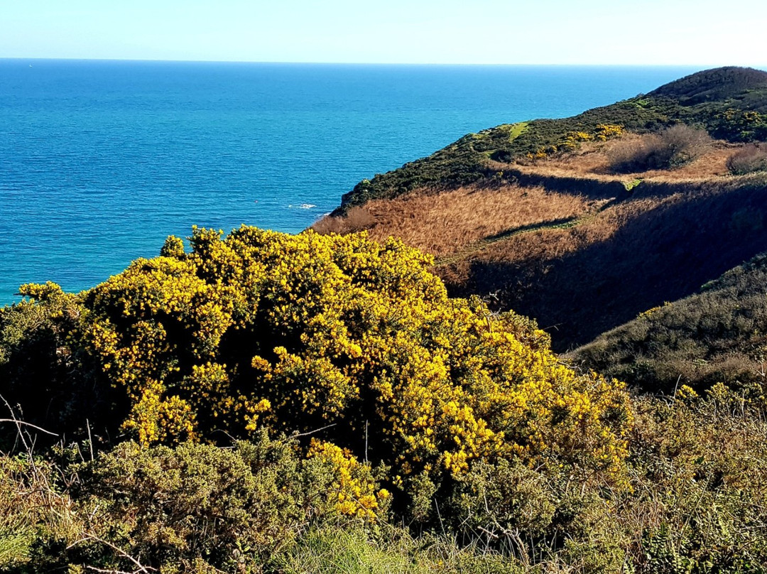 Pointe de Plouézec-Plouezec必去景点