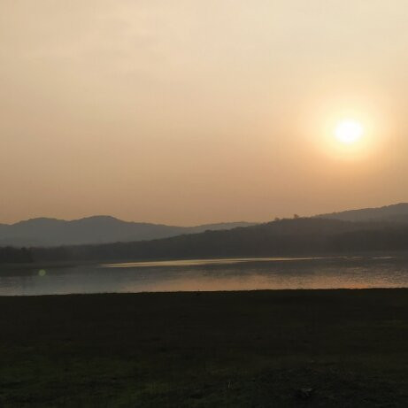 Bhadra Wildlife Sanctuary景点图片