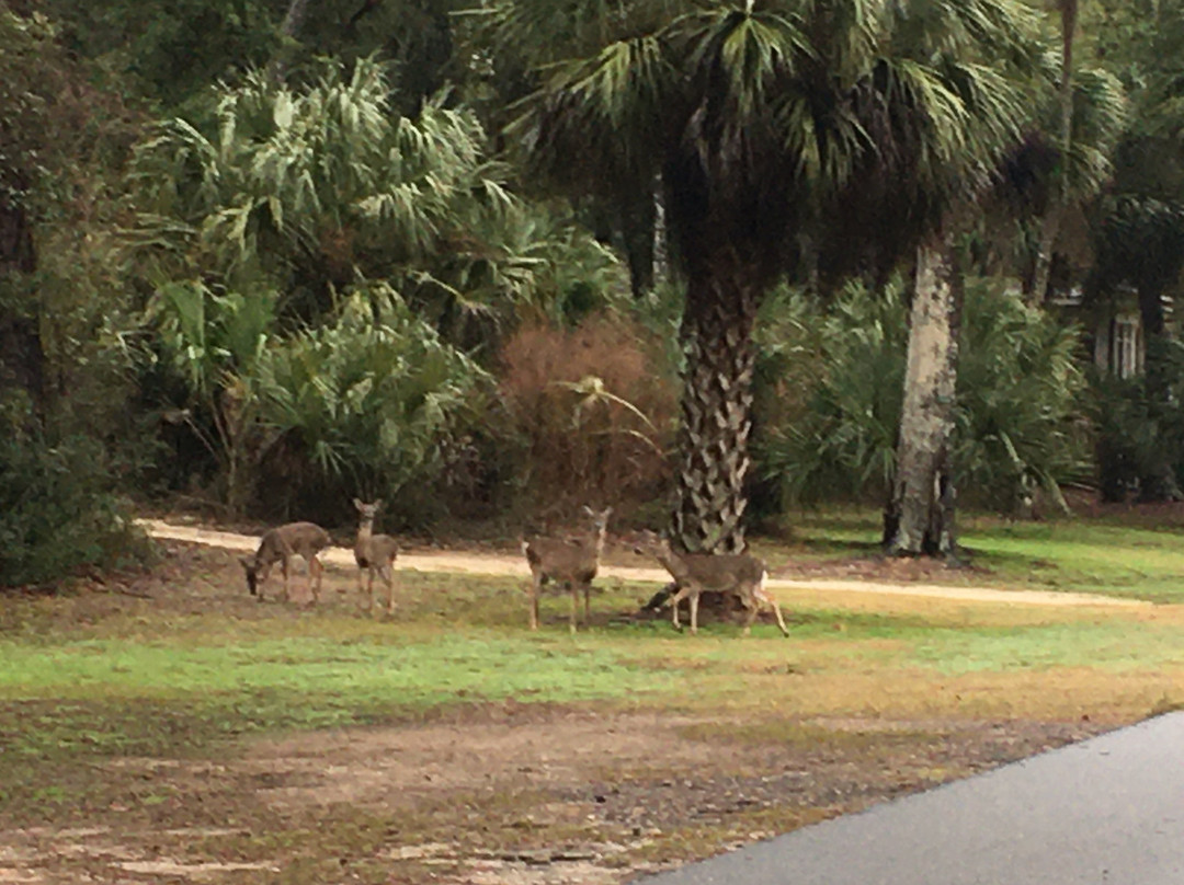 Hilton Head Island Bike Trails景点图片