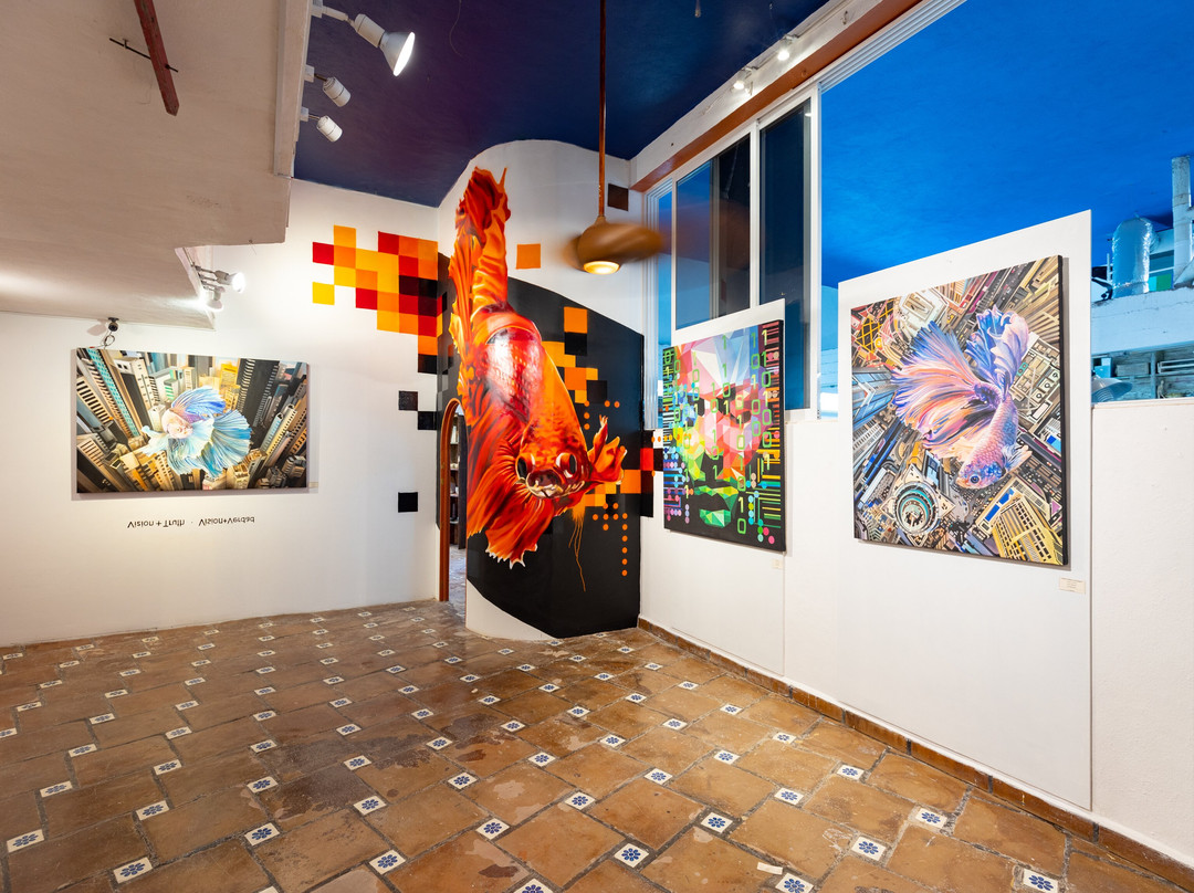 Art Vallarta-瓦拉塔港必去景点