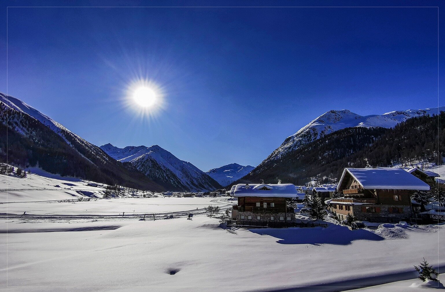 Paradise Lodge-官方