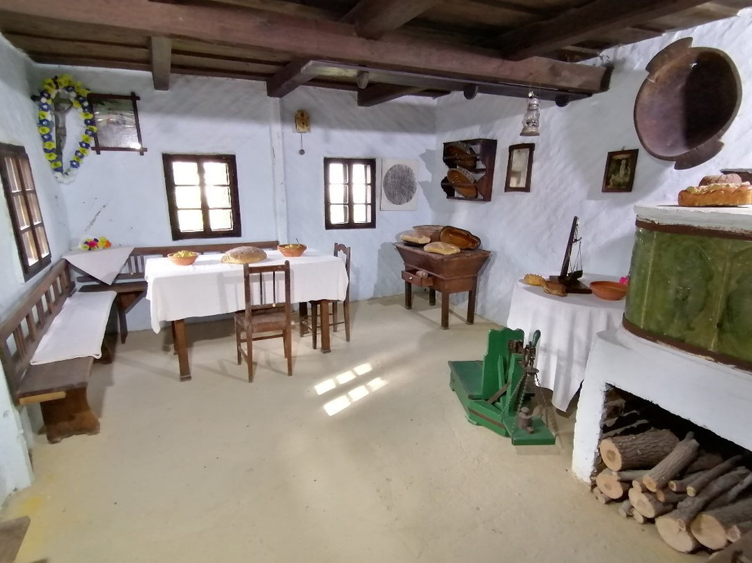 Staro selo museum景点图片