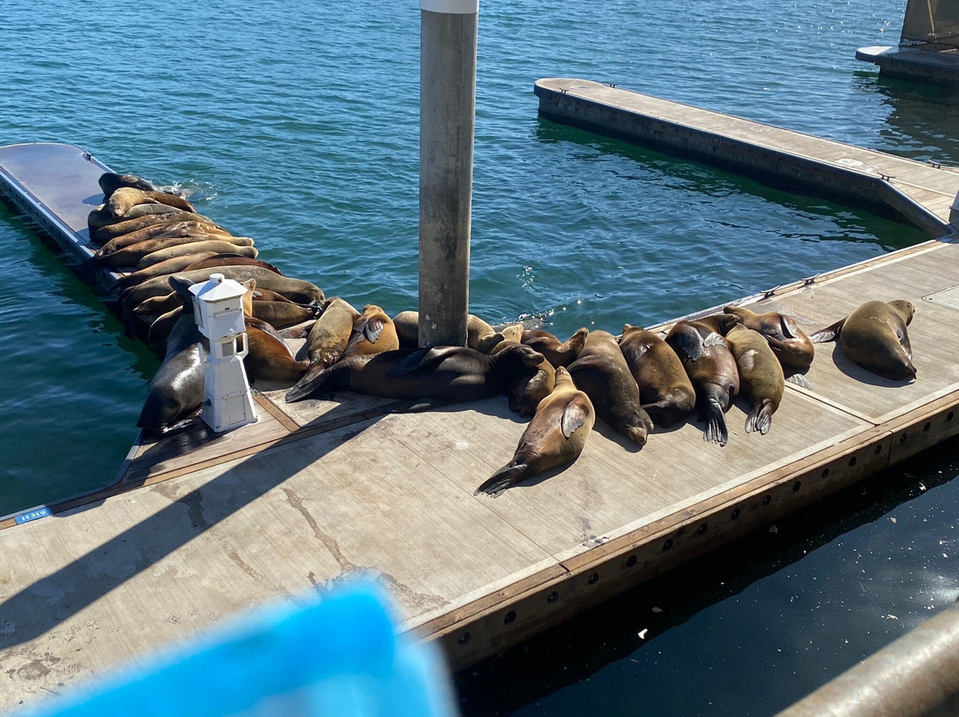 Burton W. Chace Park-玛丽安德尔湾必去景点