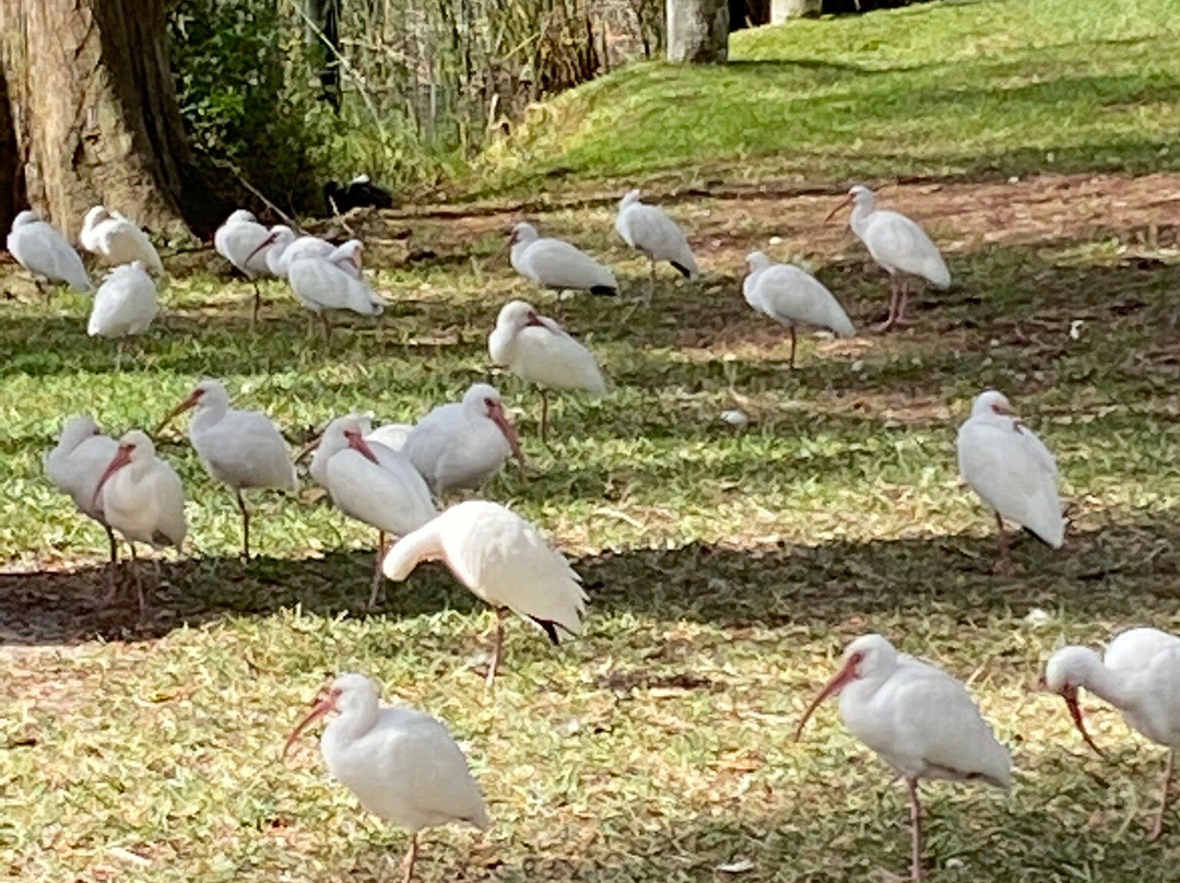Sims Park-新里奇港必去景点