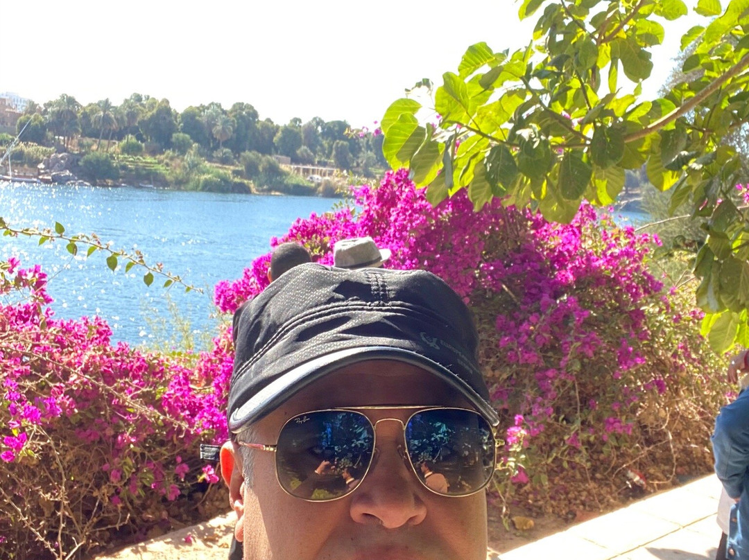 Kitchner's Island-亚斯文必去景点