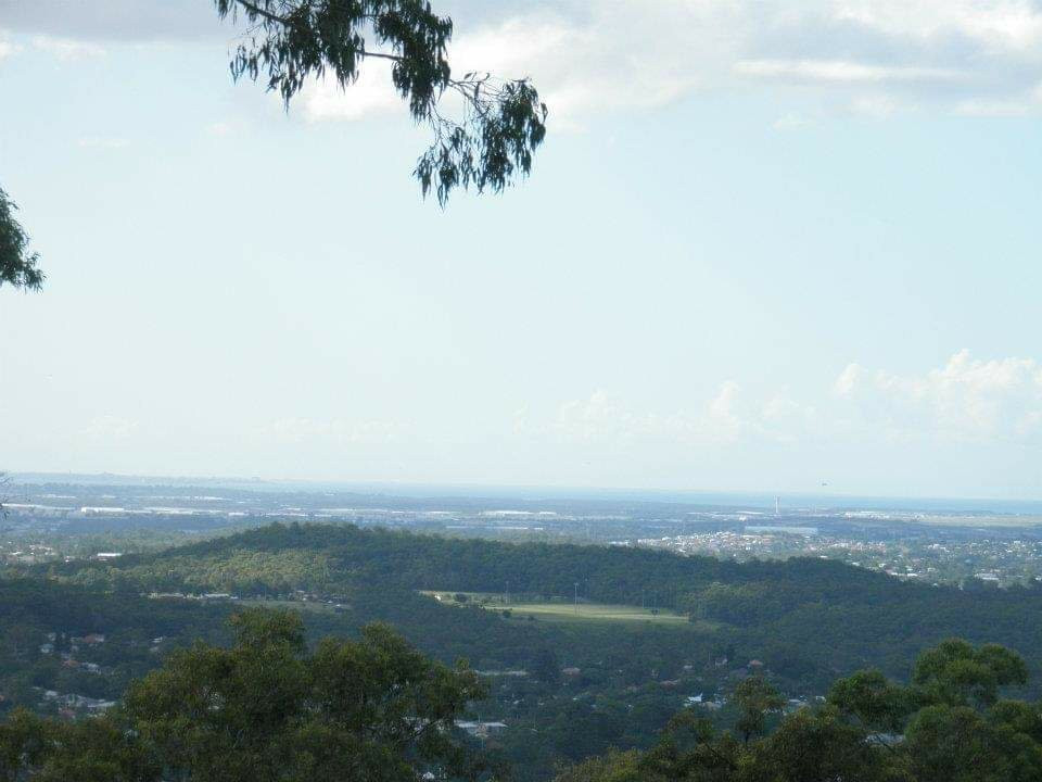 图海森林-布里斯班必去景点