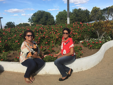 Positive Turismo-累西腓必去景点