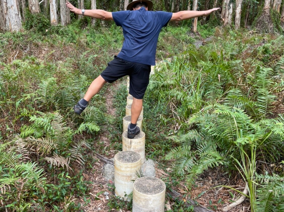 Paperbark Forest Walk-Agnes Water必去景点