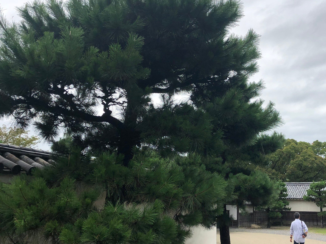 Kameyama Park (Marugame Castle)-丸龟市必去景点