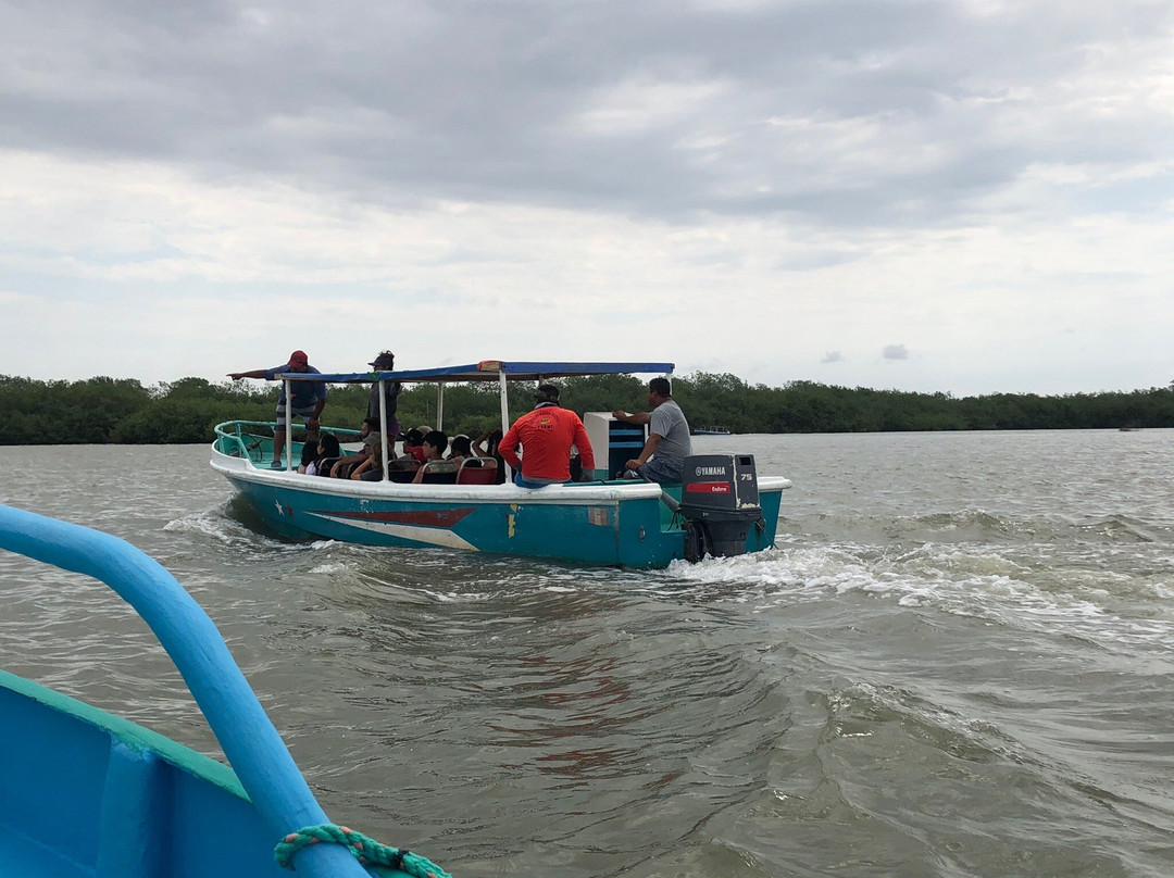 Los Manglares de Puerto Pizarro-Tumbes必去景点