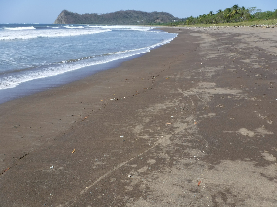 Playa Buena Vista景点图片