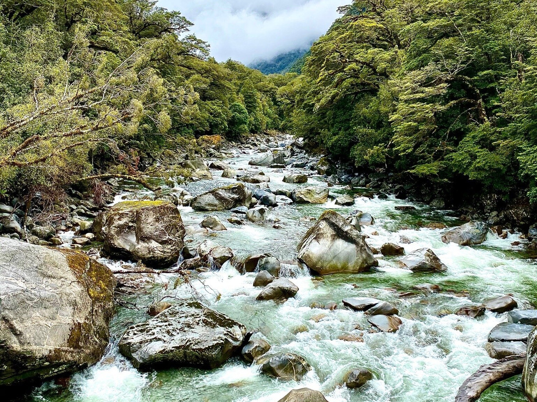 Milford sound Hwy景点图片