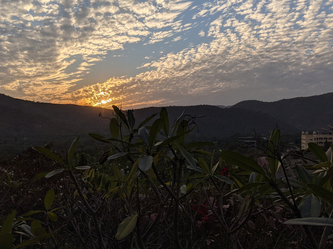 The Ananta Udaipur主图