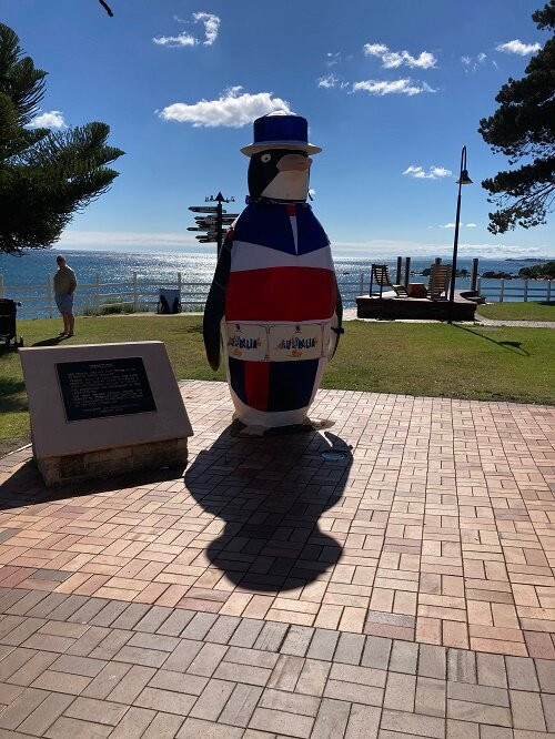 Big Penguin-企鹅岛必去景点