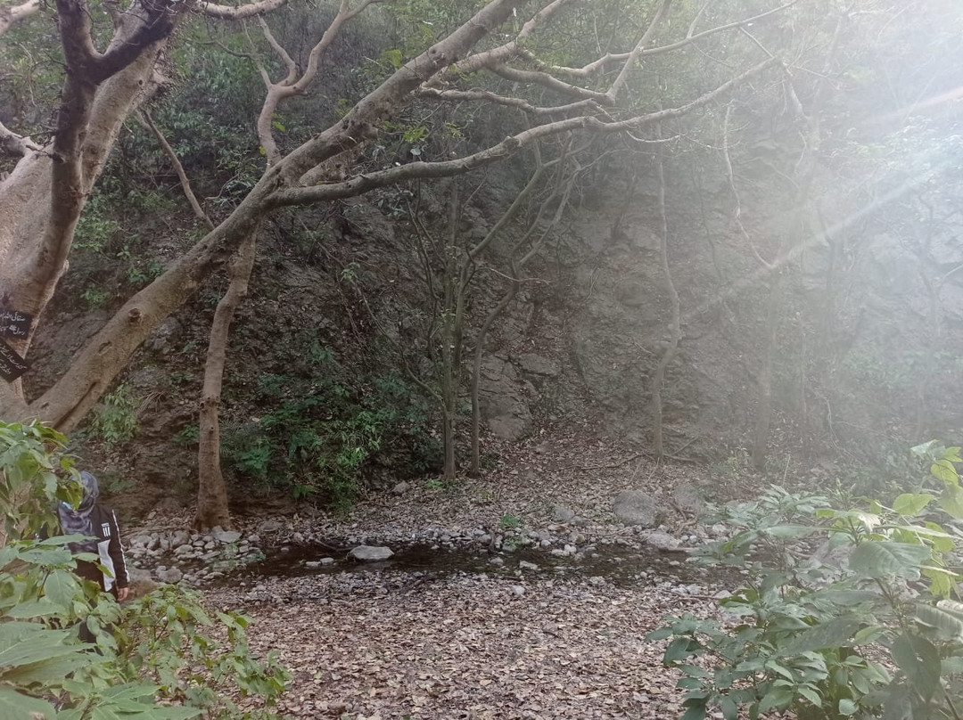 Trail 6-伊斯兰堡必去景点