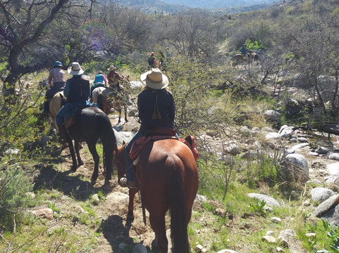 Boomerang Riding Adventures-Vail必去景点