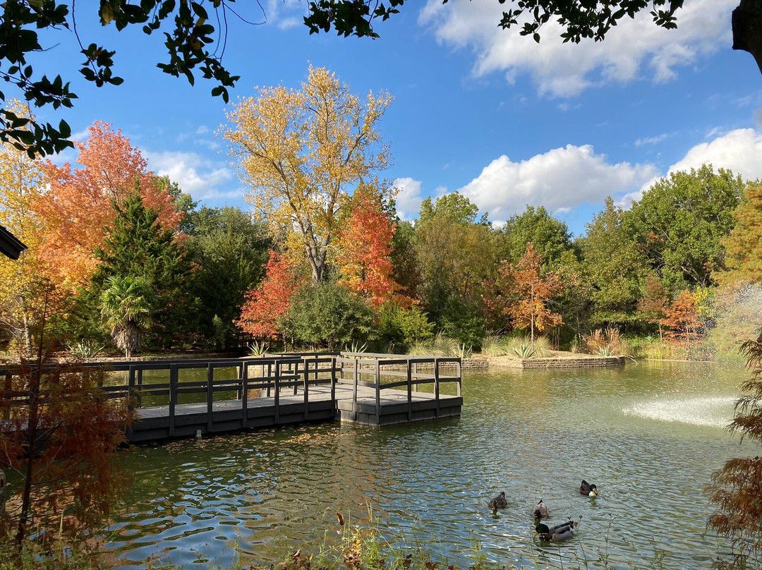 Clark Gardens Botanical Park景点图片