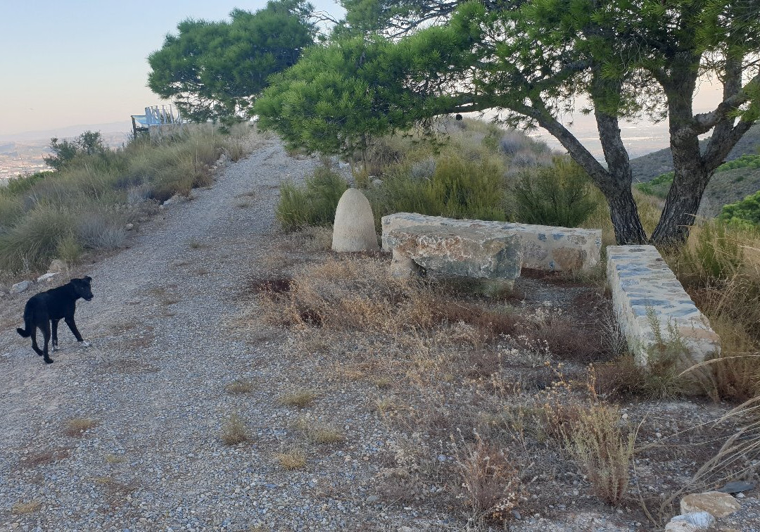 Mirador Cabezo de la Caracola景点图片
