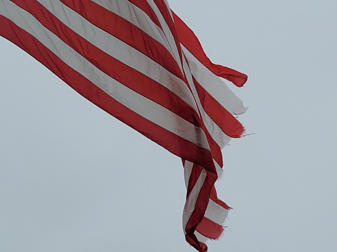 Quality Inn & Suites Vandalia Near I-70 and Hwy 51主图