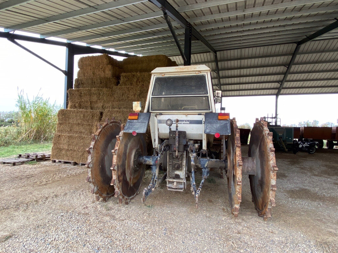 Mas Saint-Germain主图