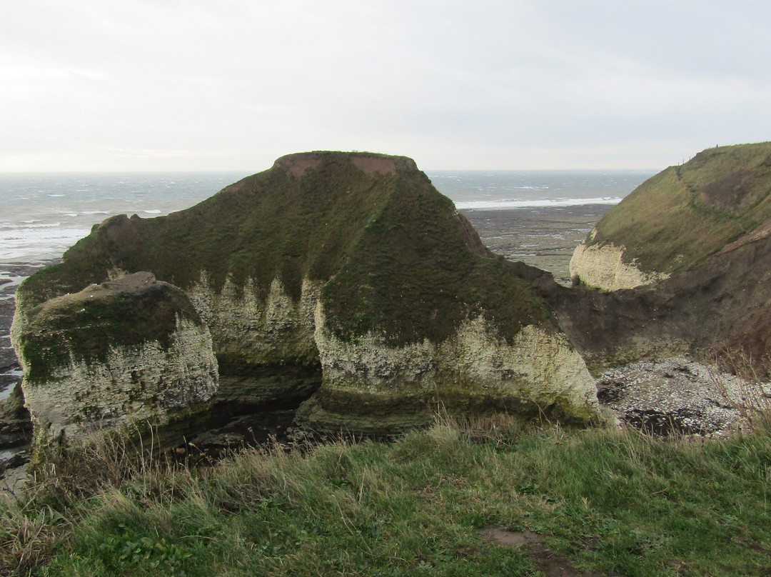 Selwicks Bay Beach景点图片