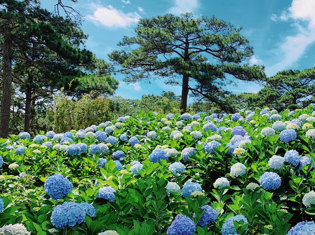 Lake of Sighs (Ho Than Tho)-大勒必去景点