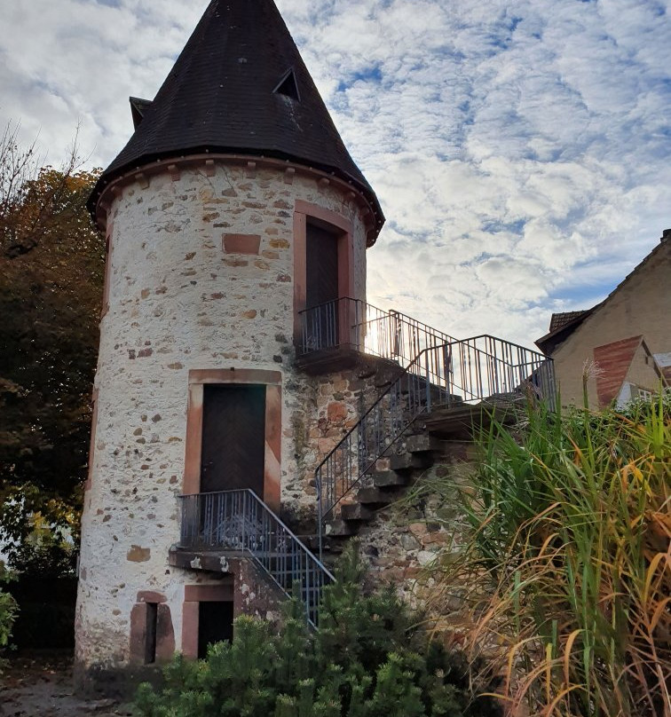 Hirschturm mit Denkmal景点图片