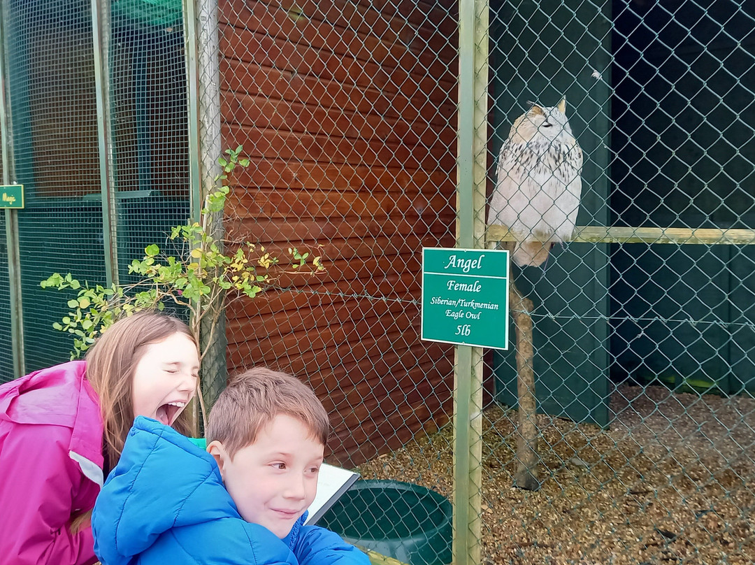 Devon Bird of Prey Centre景点图片