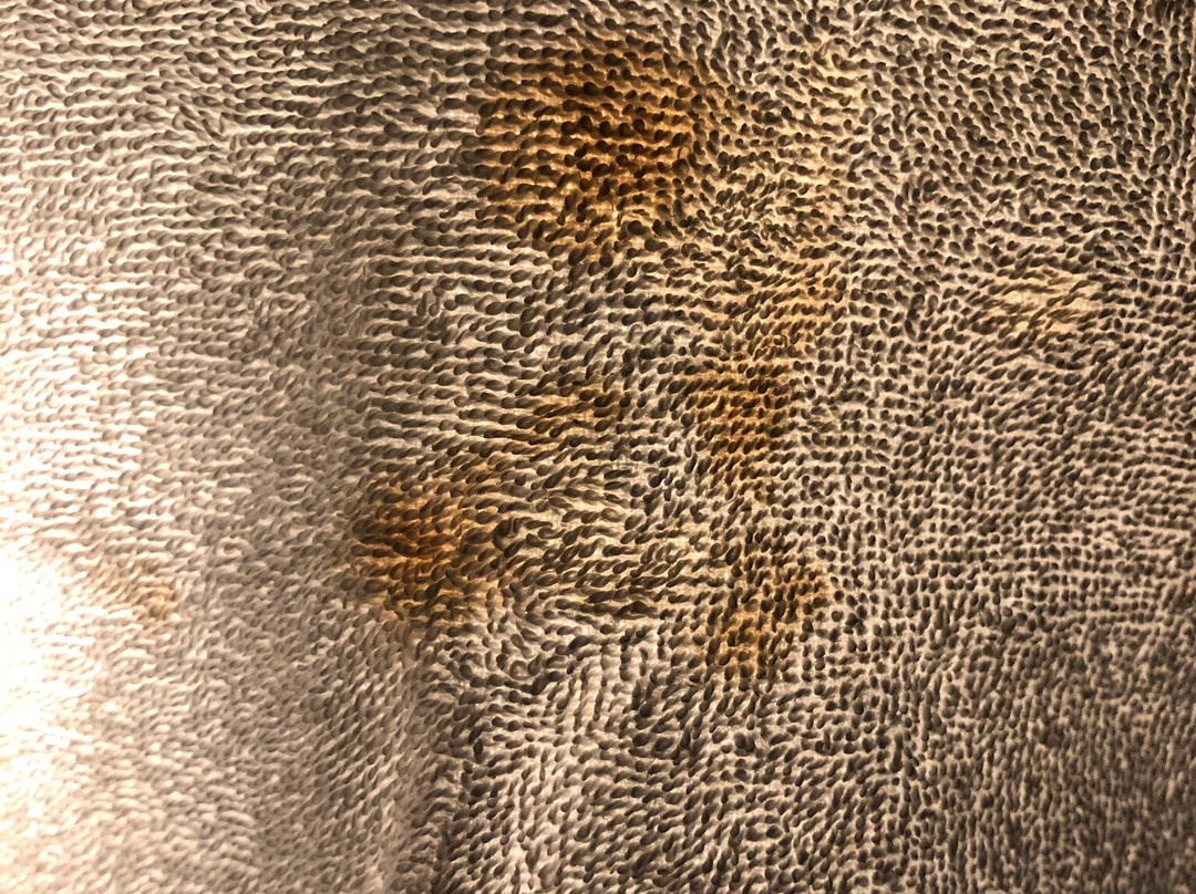 Comfort Inn Chula Vista San Diego South主图