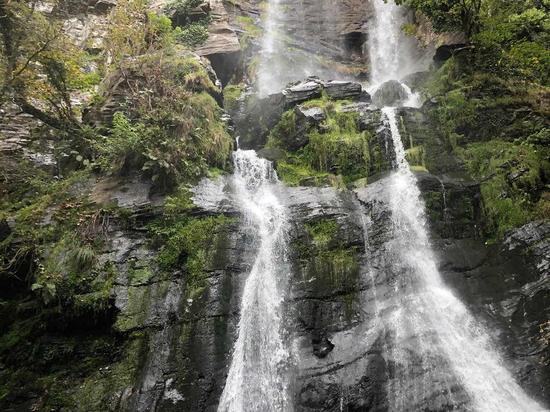 Complejo O Pineiral主图