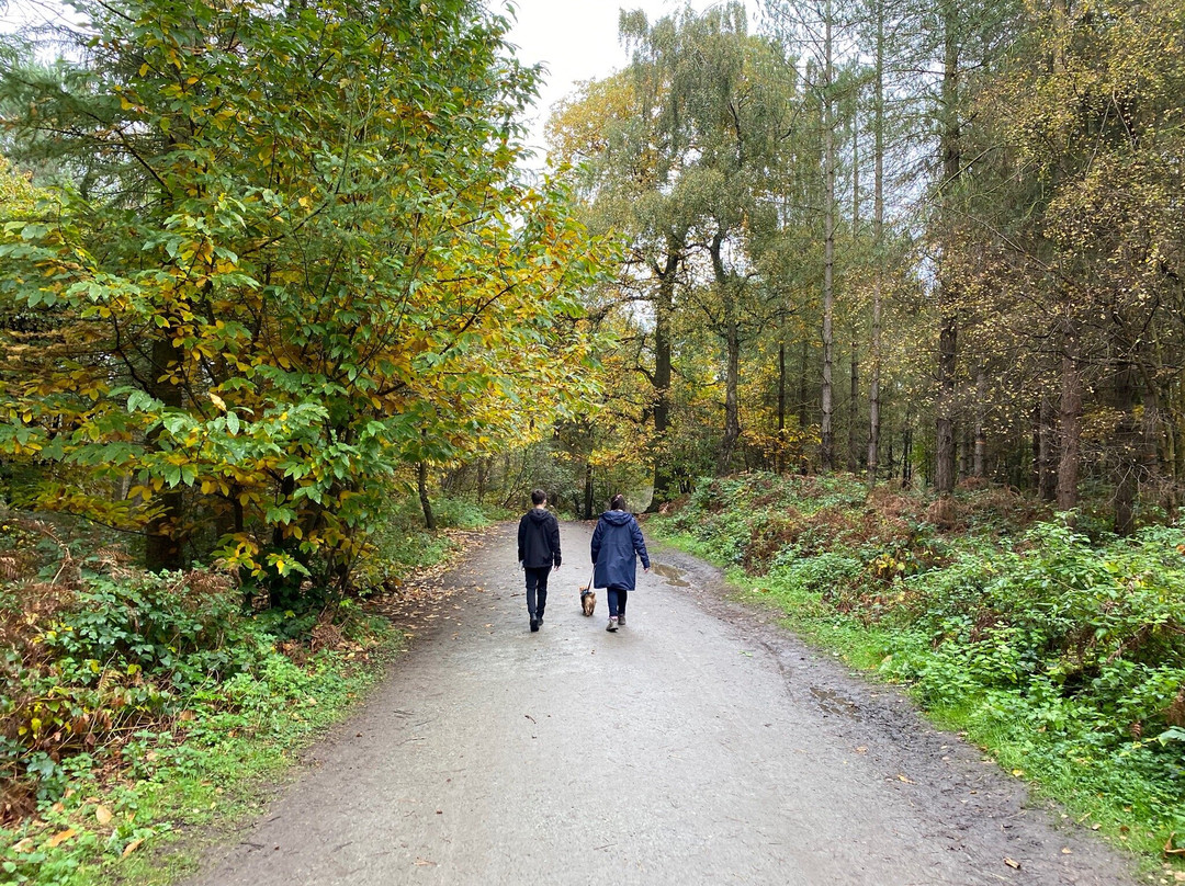 Delamere Forest Park景点图片