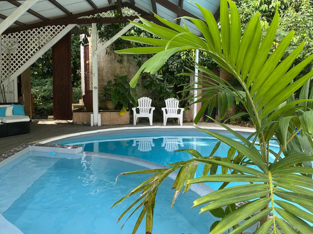 Le Spa du Parc aux Orchidées-Pointe-Noire必去景点