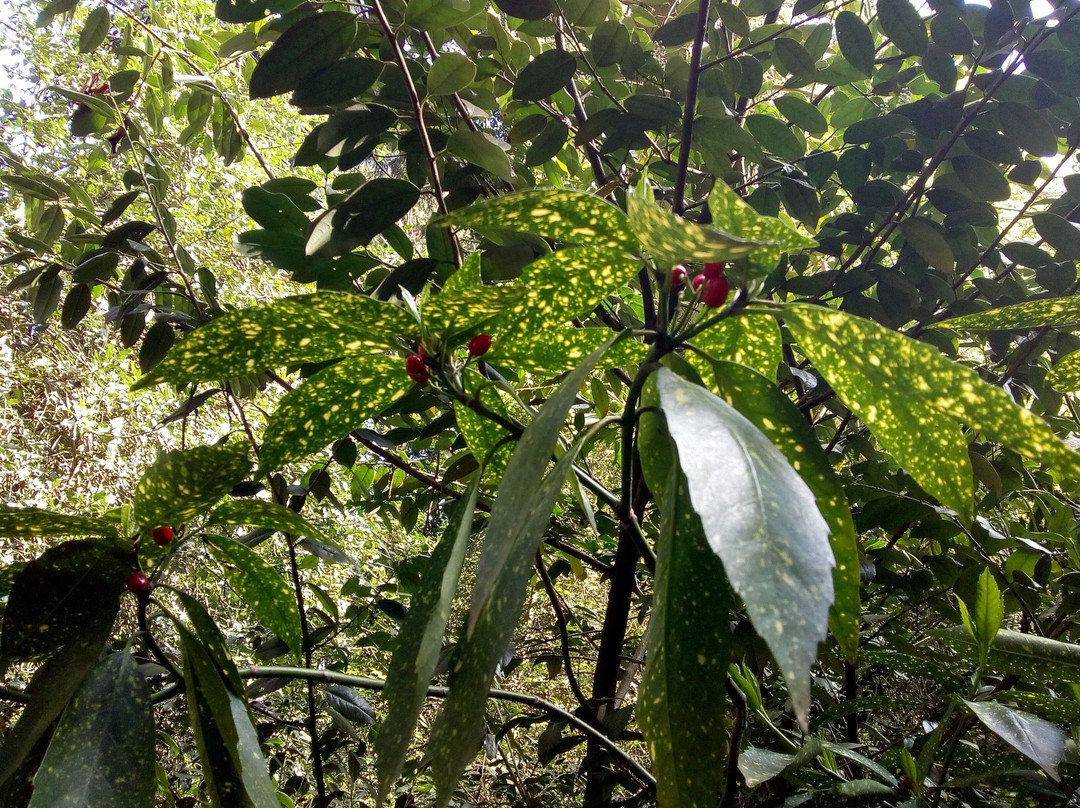 Arboretum Mlynany SAV-Slepcany必去景点