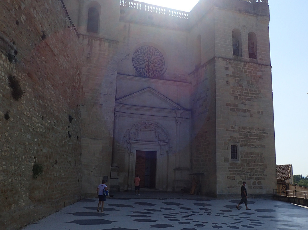 Collégiale Saint-Sauveur景点图片
