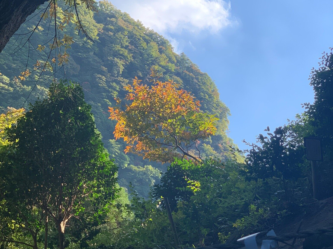 Kamishikimi Kumanoimasu Shrine景点图片