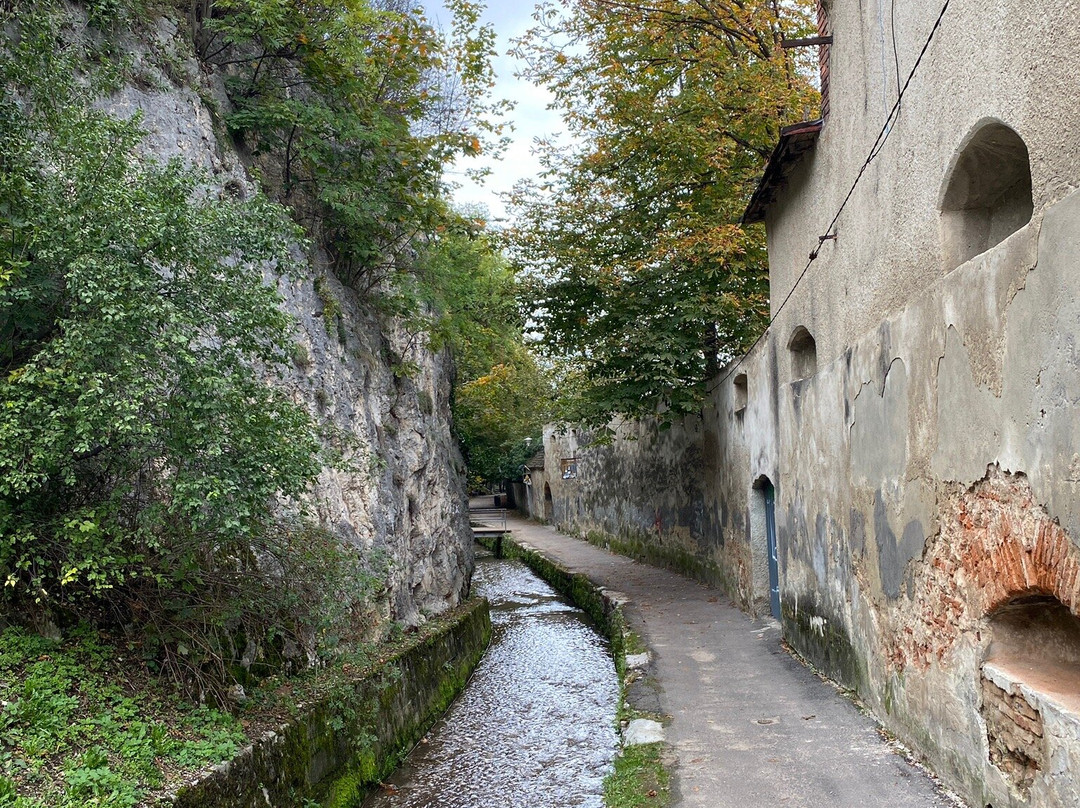 Bastionul Graft景点图片