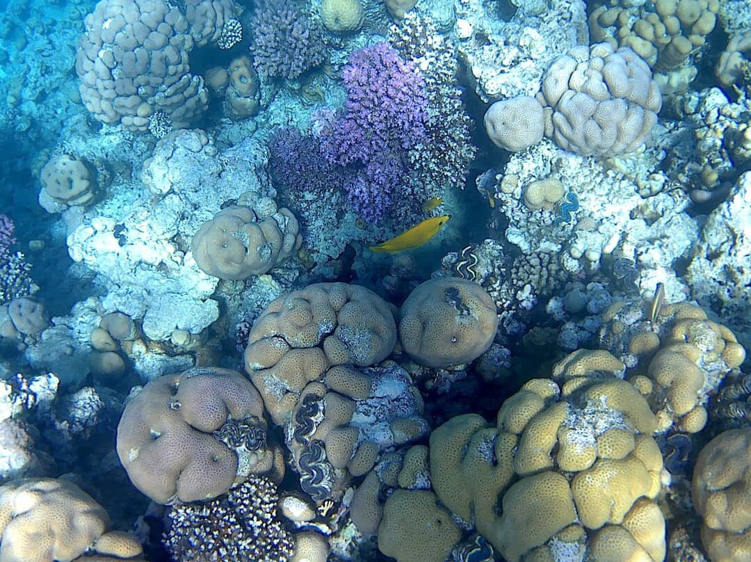 Ras Um Sid-沙姆沙伊赫必去景点