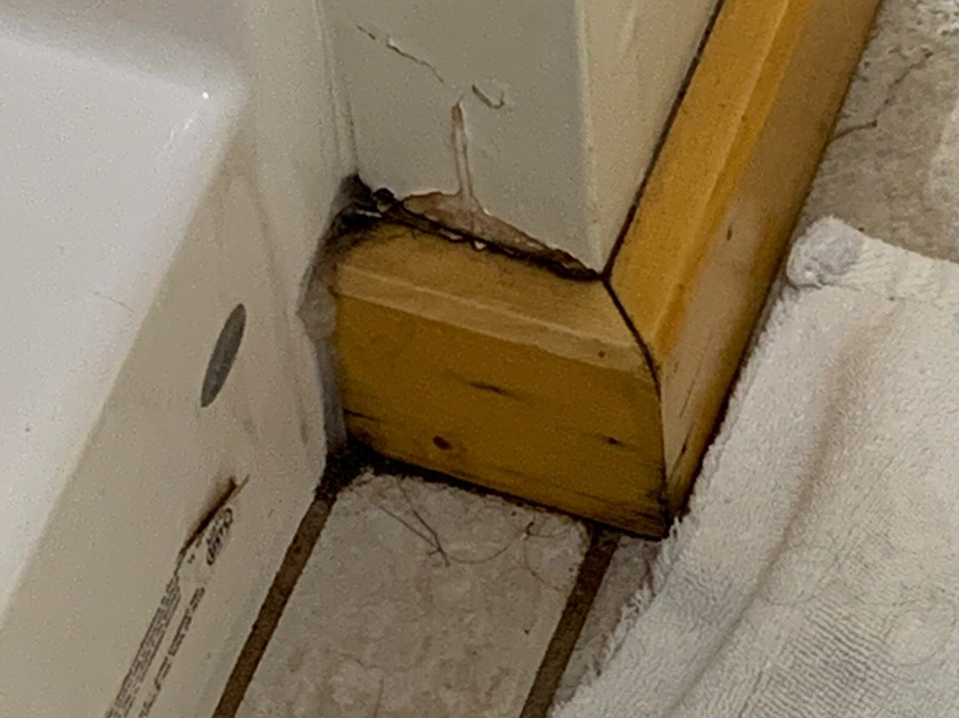 M22 Inn - Suttons Bay主图