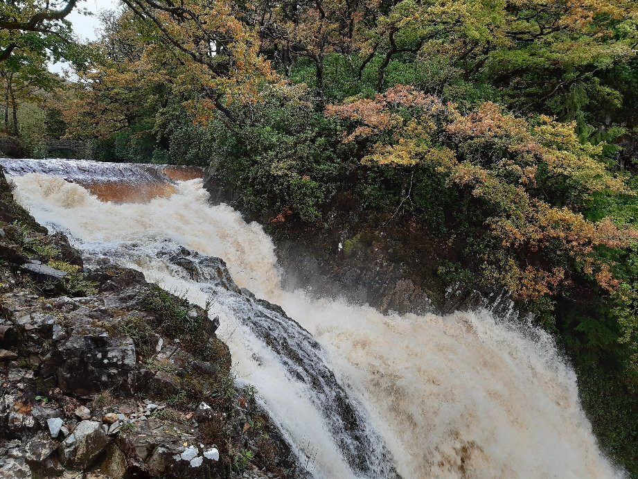 Coed y Brenin Forest Park景点图片