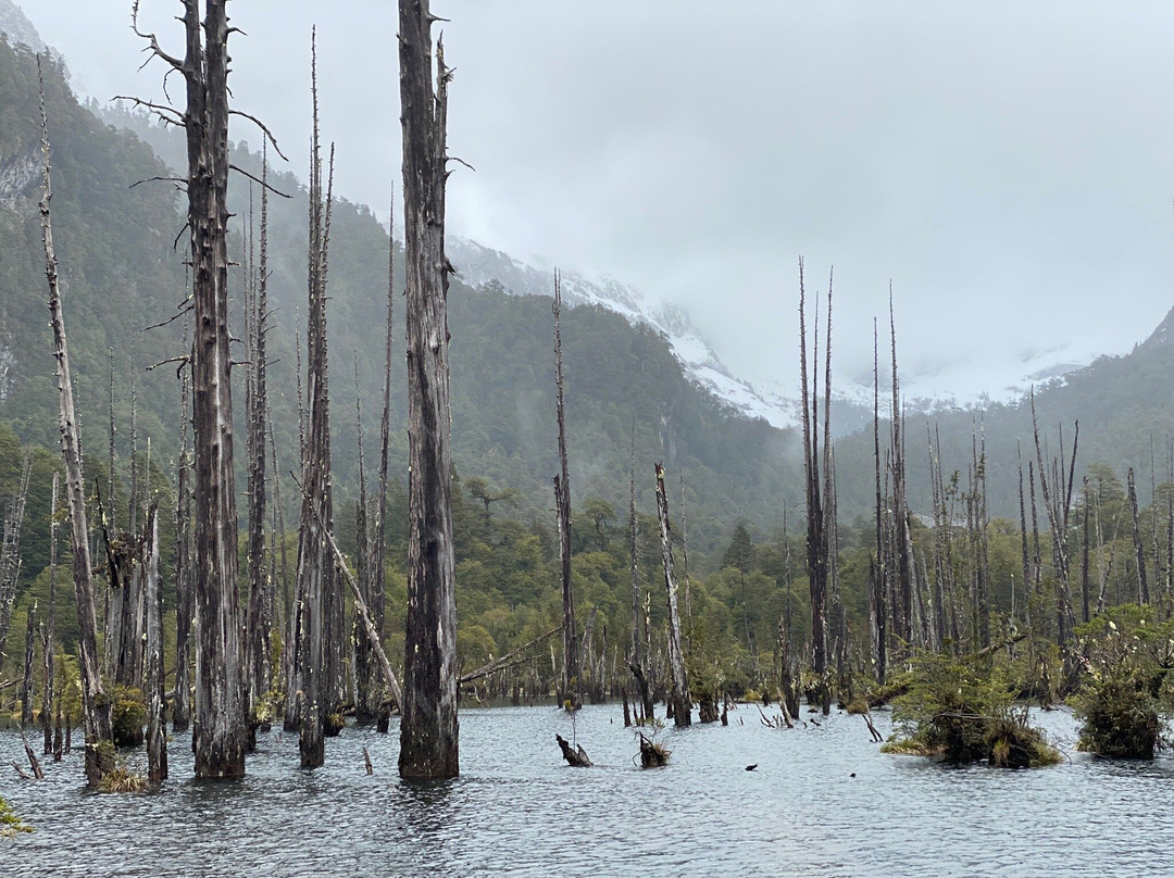 Lodge Tagua Tagua主图