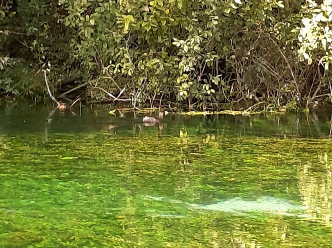 Fiume Tirino景点图片