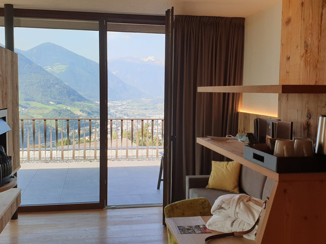 Hotel Fischer主图