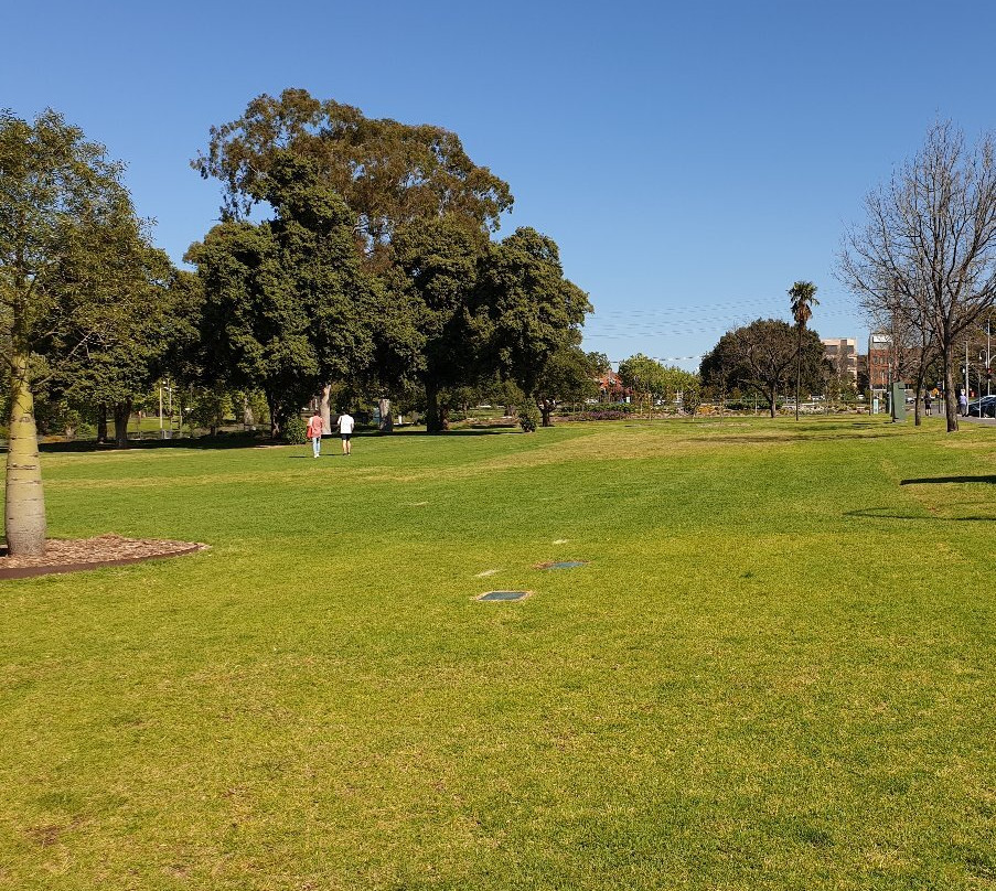 Rymill Park景点图片