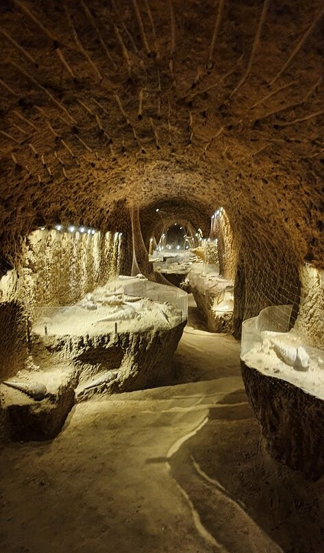 La Cave Aux Coquillages-Fleury-la-Riviere必去景点