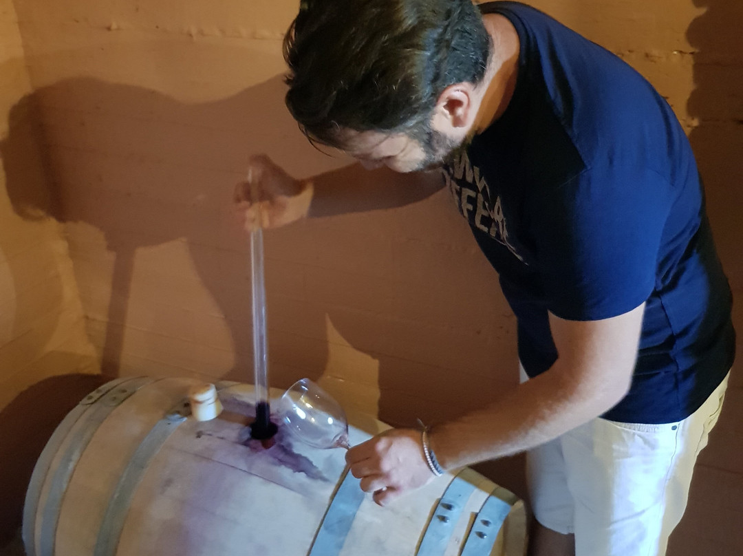 Andreou Winery-Troezen必去景点