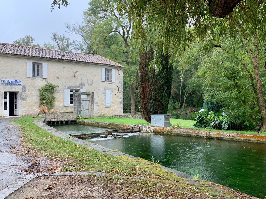 Fish Farm景点图片