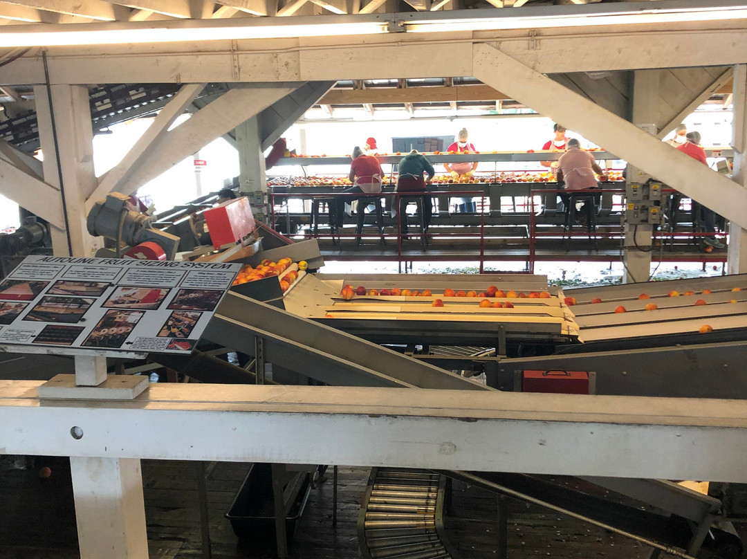 Dickey Farms-Musella必去景点